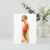 Anatomie van het menselijk lichaam met gehele orga briefkaart (Staand voorkant)