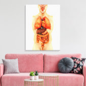 Anatomie van het menselijk lichaam met gehele orga canvas afdruk (Insitu (Woonkamer))