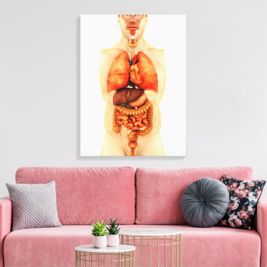 Anatomie van het menselijk lichaam met gehele orga canvas afdruk (Insitu (Woonkamer))