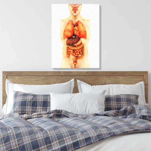 Anatomie van het menselijk lichaam met gehele orga canvas afdruk (Insitu (Slaapkamer))