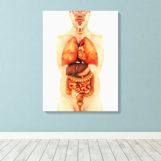 Anatomie van het menselijk lichaam met gehele orga canvas afdruk (Insitu (Houten vloer))