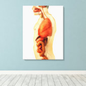 Anatomie van het menselijk lichaam met gehele orga canvas afdruk (Insitu (Houten vloer))