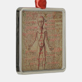 Anatomie van het menselijk lichaam metalen ornament (Rechts)