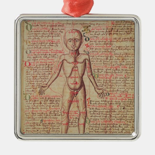 Anatomie van het menselijk lichaam metalen ornament (Voorkant)