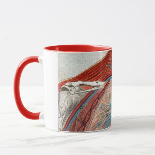 Anatomie van het menselijk lichaam mok (Links)