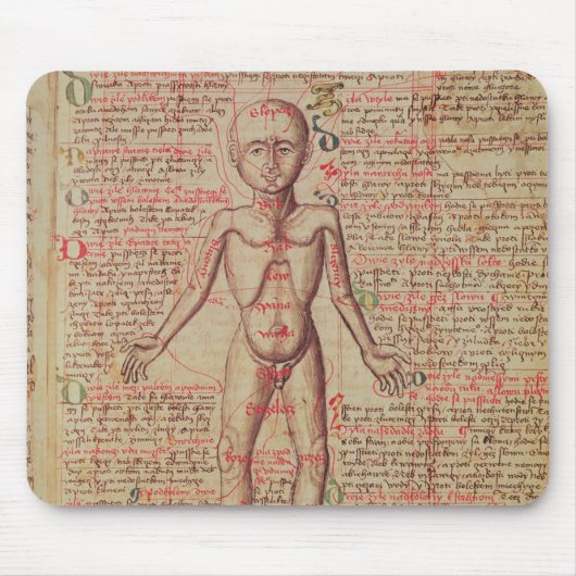 Anatomie van het menselijk lichaam muismat (Voorkant)