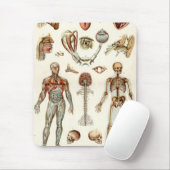 Anatomie van het menselijk lichaam muismat (Met muis)