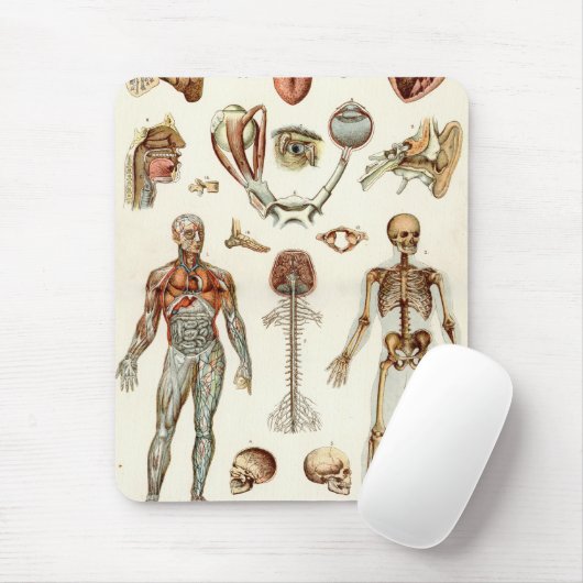 Anatomie van het menselijk lichaam muismat (Met muis)