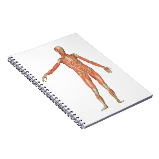 anatomie van het menselijk lichaam notitieboek (Rechterzijde)