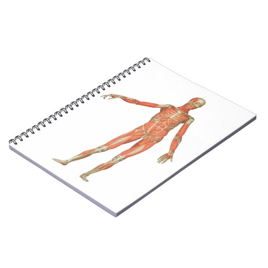 anatomie van het menselijk lichaam notitieboek (Linkerzijde)