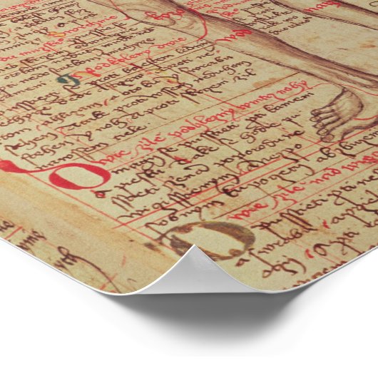 Anatomie van het menselijk lichaam poster (Hoek)