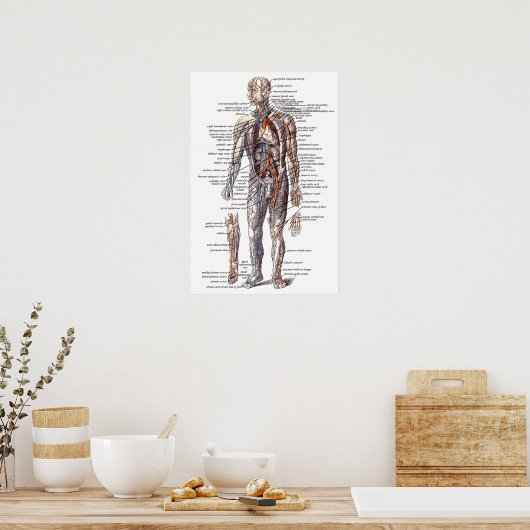 Anatomie van het menselijk lichaam poster (Keuken)