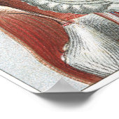 Anatomie van het menselijk lichaam poster (Hoek)