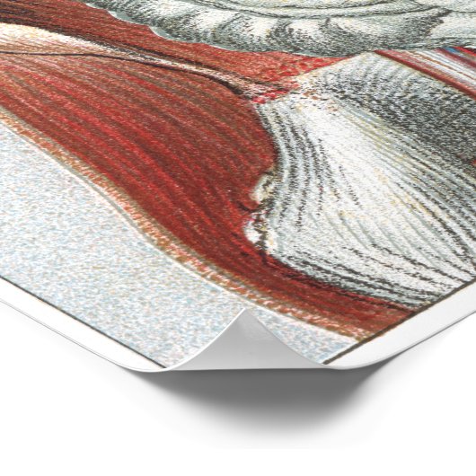 Anatomie van het menselijk lichaam poster (Hoek)