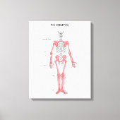 Anatomie van het menselijk lichaam Skeleton Anatom Canvas Afdruk (Voorkant)