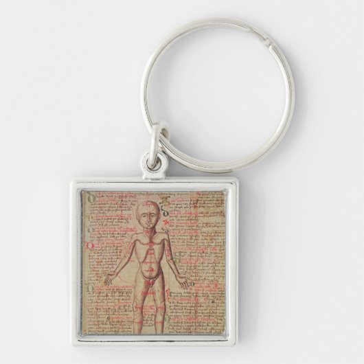 Anatomie van het menselijk lichaam sleutelhanger (Voorkant)