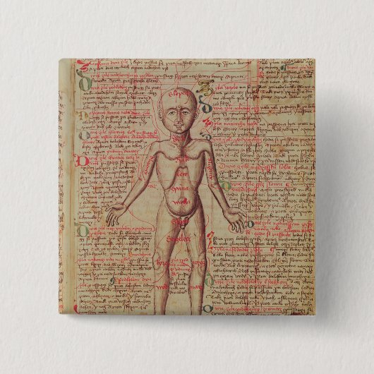 Anatomie van het menselijk lichaam vierkante button 5,1 cm (Voorkant)