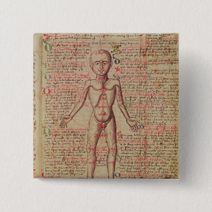 Anatomie van het menselijk lichaam vierkante button 5,1 cm