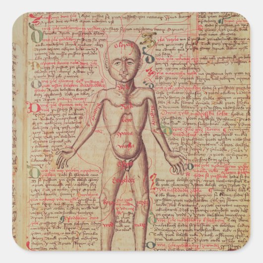 Anatomie van het menselijk lichaam vierkante sticker (Voorkant)