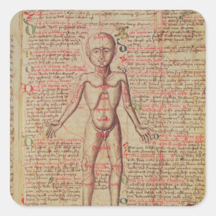 Anatomie van het menselijk lichaam vierkante sticker
