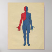 Anatomie van het menselijk lymfestelsel 1902  afdr poster (Voorkant)