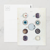 anatomie van het menselijk oog briefkaart (Voorkant / Achterkant)