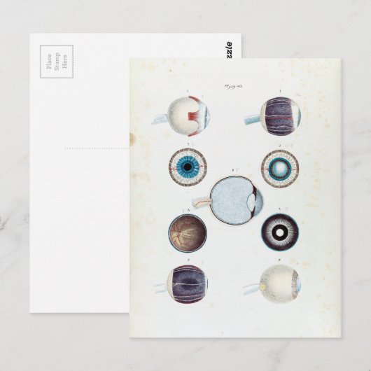 anatomie van het menselijk oog briefkaart (Voorkant / Achterkant)