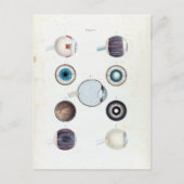 anatomie van het menselijk oog briefkaart (Voorkant)