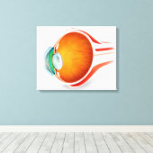 Anatomie van het menselijk oog, perspectief canvas afdruk (Insitu (Houten vloer))