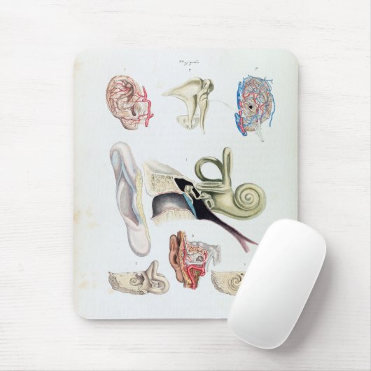 anatomie van het menselijk oor muismat (Met muis)