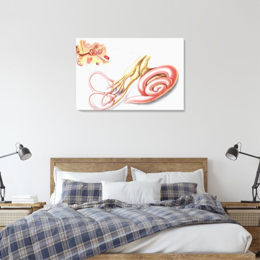 Anatomie van het menselijk oor, slijmvlieslabyrint canvas afdruk (Insitu (Slaapkamer))