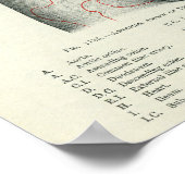 Anatomie van het menselijk oppervlak Verband met o Poster (Hoek)