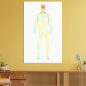 Anatomie van het menselijk zenuwstelsel en het lym canvas afdruk (Insitu (Woonkamer))