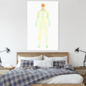 Anatomie van het menselijk zenuwstelsel en het lym canvas afdruk (Insitu (Slaapkamer))