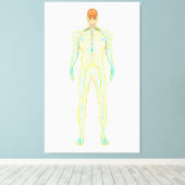 Anatomie van het menselijk zenuwstelsel en het lym canvas afdruk (Insitu (Houten vloer))