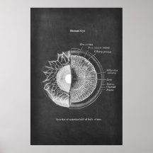 Anatomie van het menselijke oog optometrist decor