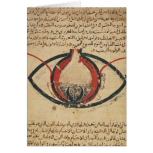 Anatomie van het oog, uit een boek over oogziekten