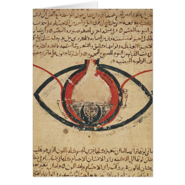 Anatomie van het oog, uit een boek over oogziekten (Voorkant)