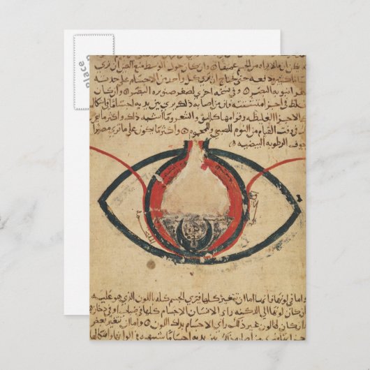 Anatomie van het oog, uit een boek over oogziekten briefkaart (Voorkant / Achterkant)