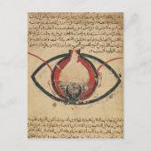 Anatomie van het oog, uit een boek over oogziekten briefkaart (Voorkant)