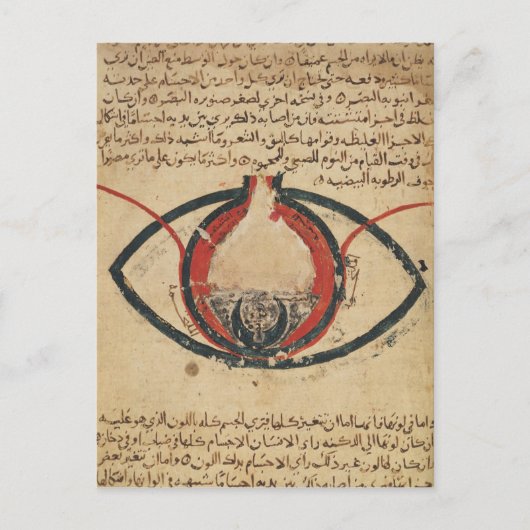 Anatomie van het oog, uit een boek over oogziekten briefkaart (Voorkant)