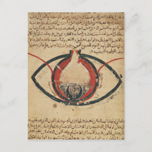 Anatomie van het oog, uit een boek over oogziekten briefkaart