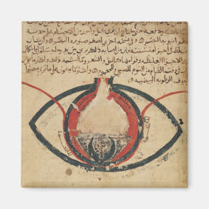 Anatomie van het oog, uit een boek over oogziekten magneet