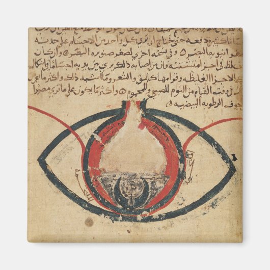 Anatomie van het oog, uit een boek over oogziekten magneet (Voorkant)