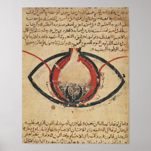 Anatomie van het oog, uit een boek over oogziekten poster (Voorkant)