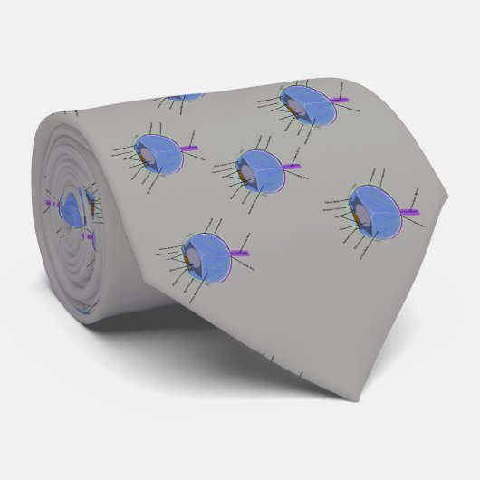 Anatomie van het oogStropdas Stropdas (Opgerold)