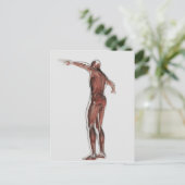 Anatomie van het spierstelsel van mannen, posterio briefkaart (Staand voorkant)