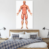 Anatomie van het spierstelsel van mannen, voorzijd canvas afdruk (Insitu (Slaapkamer))
