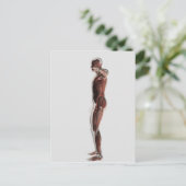 Anatomie van het spierstelsel van mannen, zij Uitz Briefkaart (Staand voorkant)