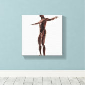 Anatomie van het spierstelsel van mannen, zij Uitz Canvas Afdruk (Insitu (Houten vloer))